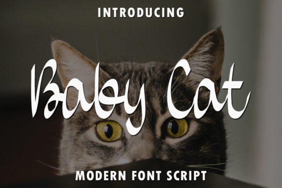 Baby Cat: A Flowing Handwritten Font